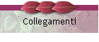 Collegamenti